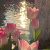 yusra_reviews
