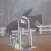 mpw.equestrian