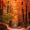 Olgasnature