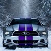 ford.mustang.love5