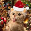 andreww3777