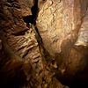 reptile_lovers17
