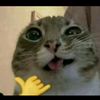 abumaneditz03