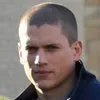 iq.michaelscofield