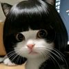 di_end5