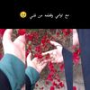 09809507iut