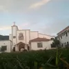 maxipapafrita