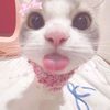 litaasukaayappingg