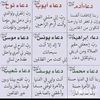 adan08655