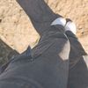 nasteexo768