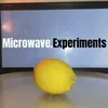 microwave.experiments