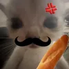 suydenchet__