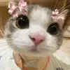 content_creator150