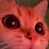 ka._.non820