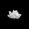 t.minhhoang3062003