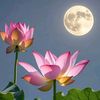 thein.zaw3308