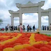 huynhnguyen7456