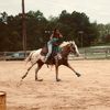 lil_wicked_mare