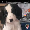 cristianmateoceba