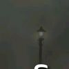 tiktok_o39