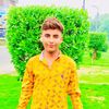 hamza.mehar3651