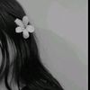 shahrinislamnoufa