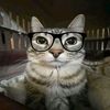 liwmisz3