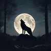 wolf38838