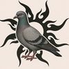 forsakened_pigeon