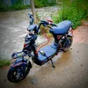 nhn.1642014