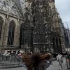 amelka_frelkaa