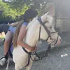 emilie_and_ice