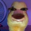 merl.ey.jg.mean.rg.men