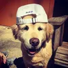 ida_0508.io