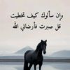 user7410315712868