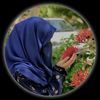 queen_salmo61
