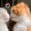 usermg.phoe.chit3