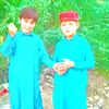 rasool.muhammad235