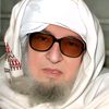 Molana bijligar