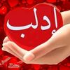 user17481085268132