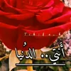 adilomeran