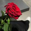user2026968029781