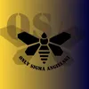 OSA Only Sigma Angielski
