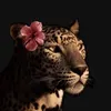aya_godzilla_14