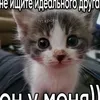 user728121205428