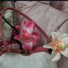 timelesscoachpurses