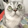 nildayummm