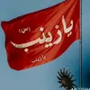 zeenbalssaly