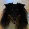 tiktok.kan.g.och
