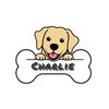 charliethetravelbuddy